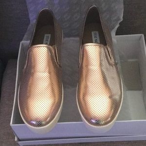 Steve Madden Shoe